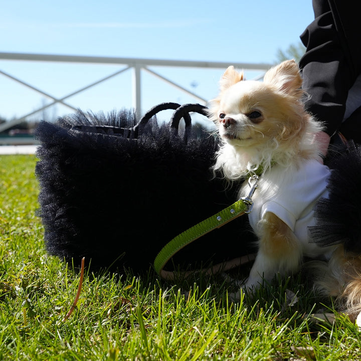 La Sportina City Handmade Luxury Straw and Tulle Dog Bag | Vanity Pet