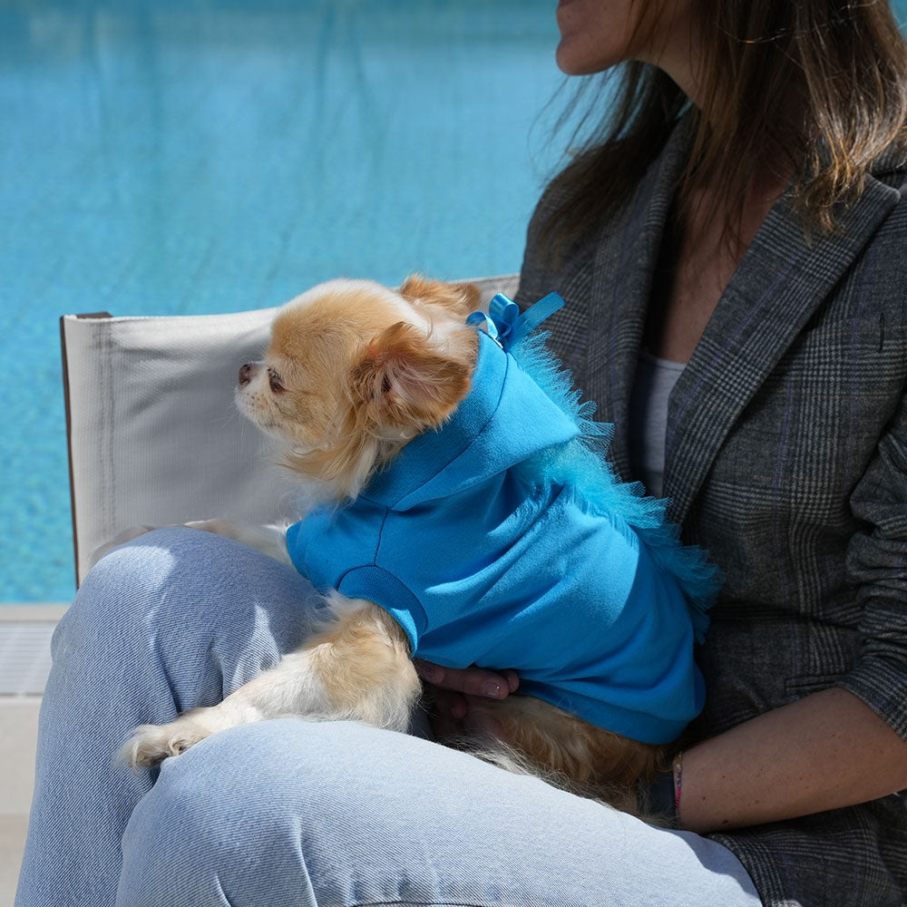 Little Dragon Cotton Hoodie T-Shirt for Fashionable Dogs | Vanity Pet