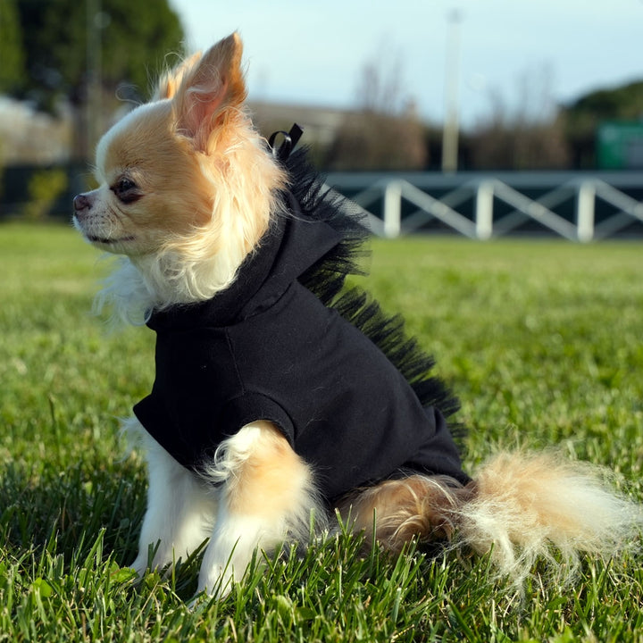 Little Dragon Cotton Hoodie T-Shirt for Fashionable Dogs | Vanity Pet
