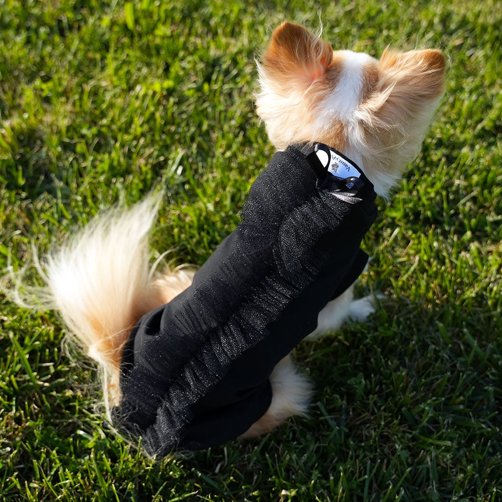 Little Dragon Cotton Hoodie T-Shirt for Fashionable Dogs | Vanity Pet