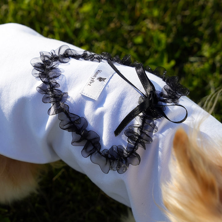 Sweet Heart Fashionable and Luxury Dog T-Shirt with Hearts Vanity Pet