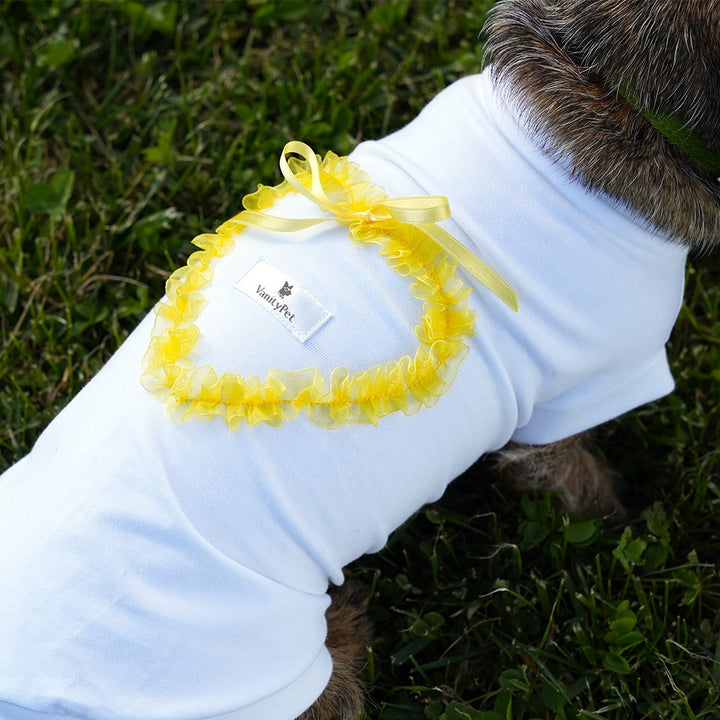 Sweet Heart Fashionable and Luxury Dog T-Shirt with Hearts Vanity Pet