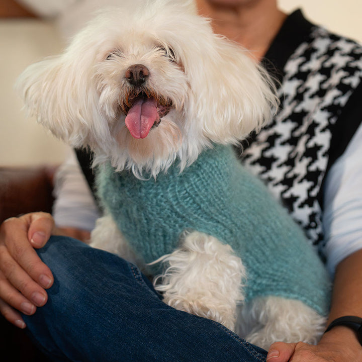 Fluffy Green Mohair and Silk Dog Sweater | Vanity Pet