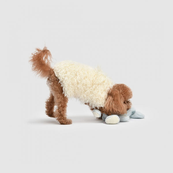 Vanity Pet