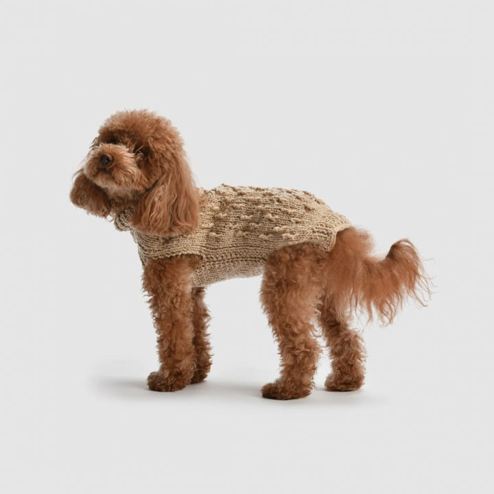 Oh My Gold! Golden Handmade Sweater For Female Doggies | Vanity Pet