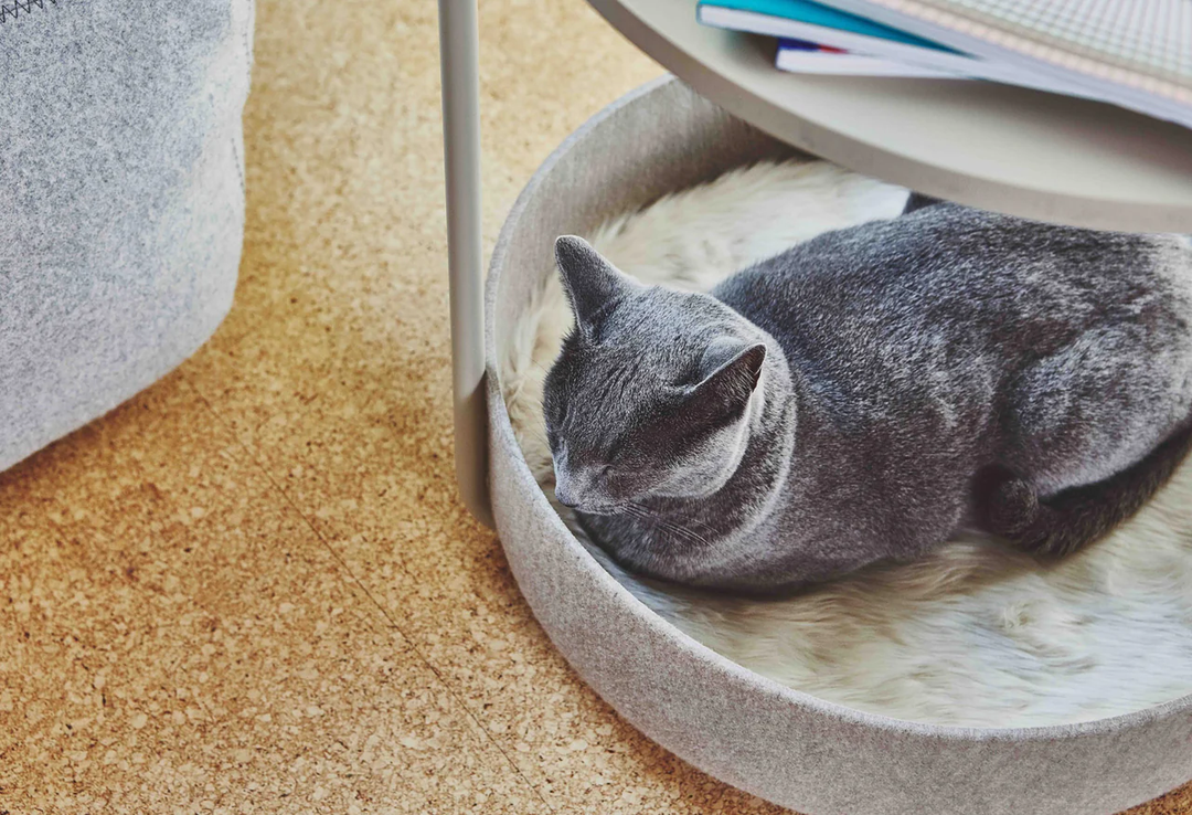 Tavolino Side Table and Cat Bed - MiaCara Innovative Design