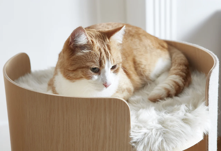 Torre Minimalist Cat Scratching Post - MiaCara Innovative Design