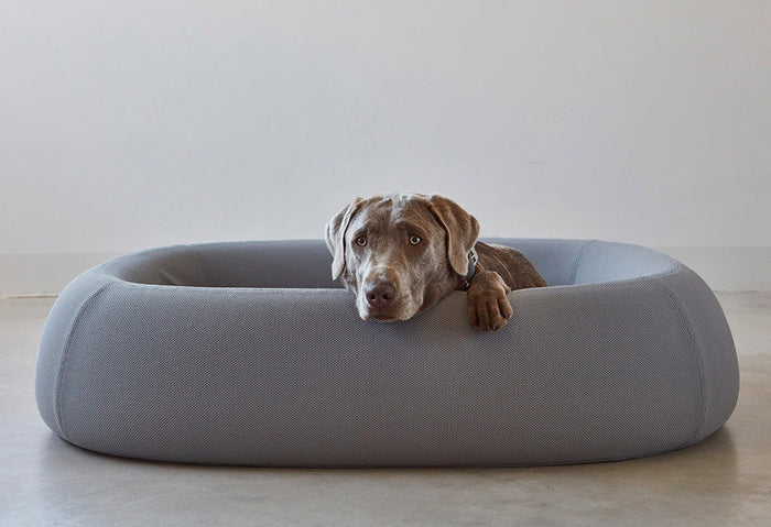 Barca Dog Bed - MiaCara Innovative Design