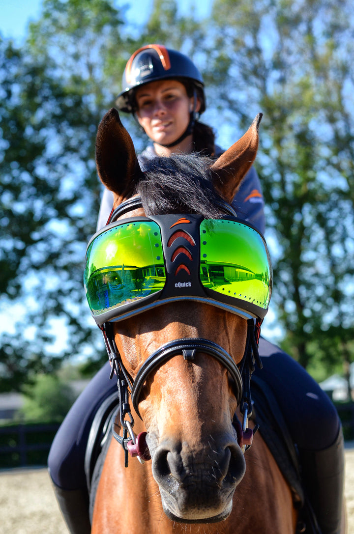 Evysor Eyes Protector | Equick Luxury Equestrian Gear Made in Italy