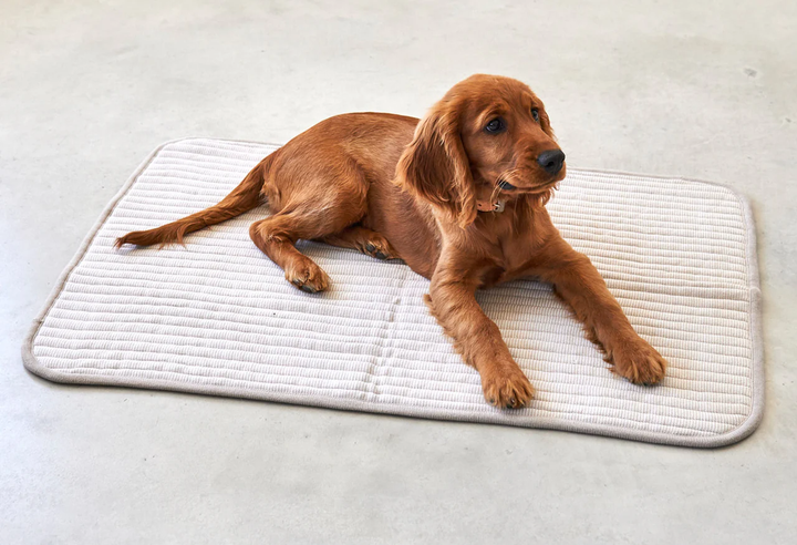 Onda Luxury Dog Knitted Blanket - MiaCara Innovative Design