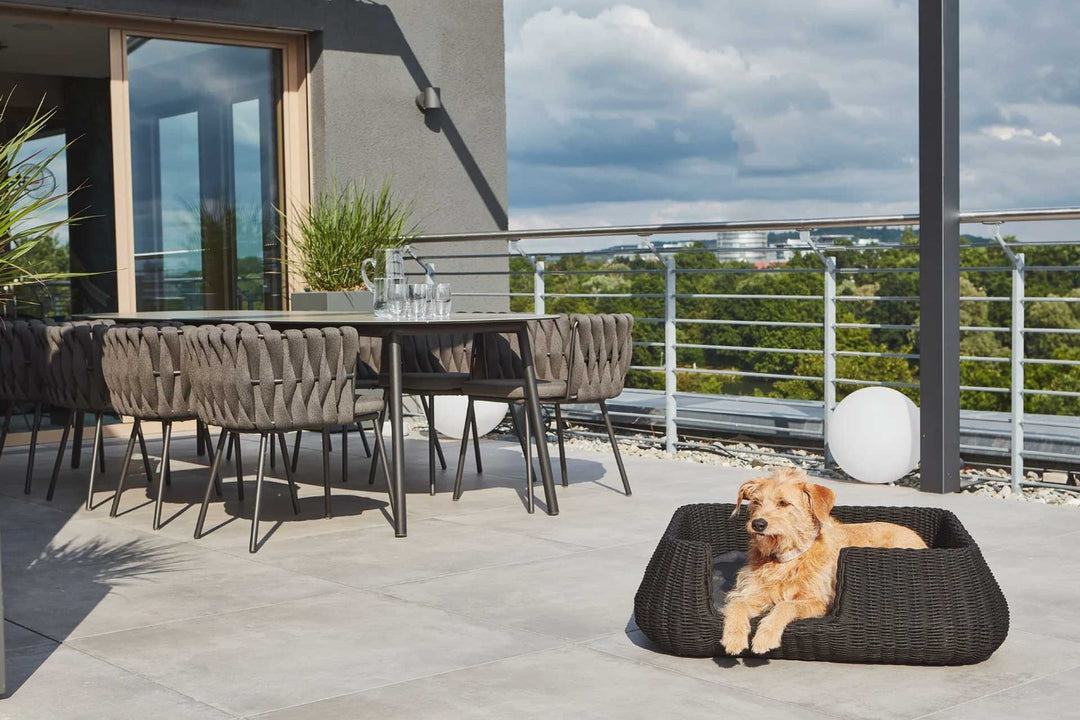 Mio Dog Basket Luxury Pet Bed - MiaCara Innovative Design