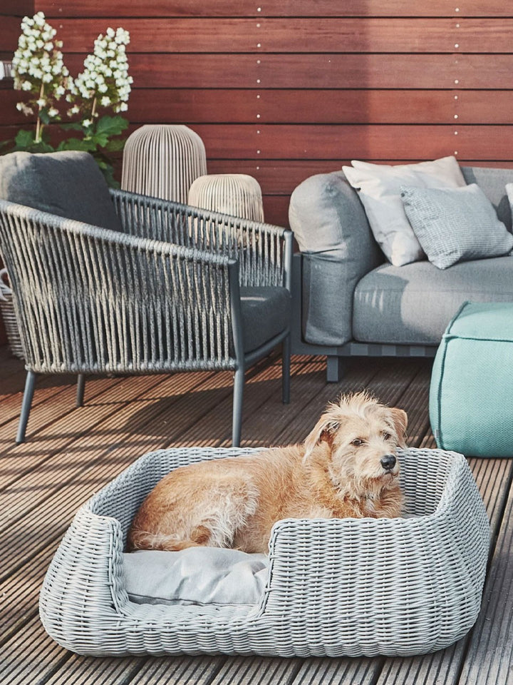 Mio Dog Basket Luxury Pet Bed - MiaCara Innovative Design