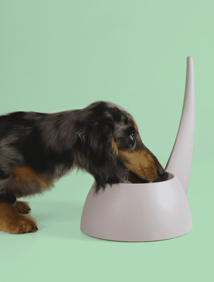 Tail Bowl Dog with Tail Handle for Easy Holding | United Pets Milano