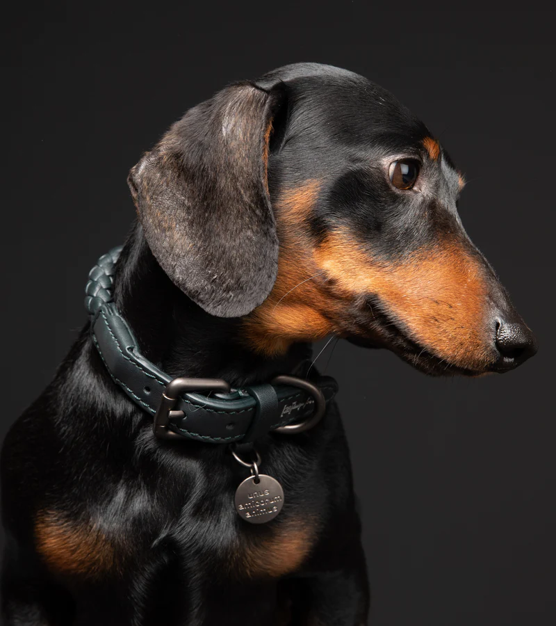 Ferdinando Braided Leather Collar for Dog | 2.8 Duepuntootto