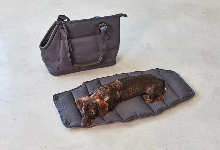 Sporta Luxury Dog Carrier - MiaCara Innovative Design