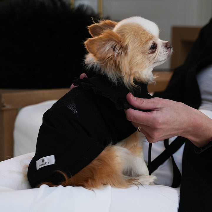 Lace Collar Cotton T-Shirt for Fashionable Dogs | Vanity Pet