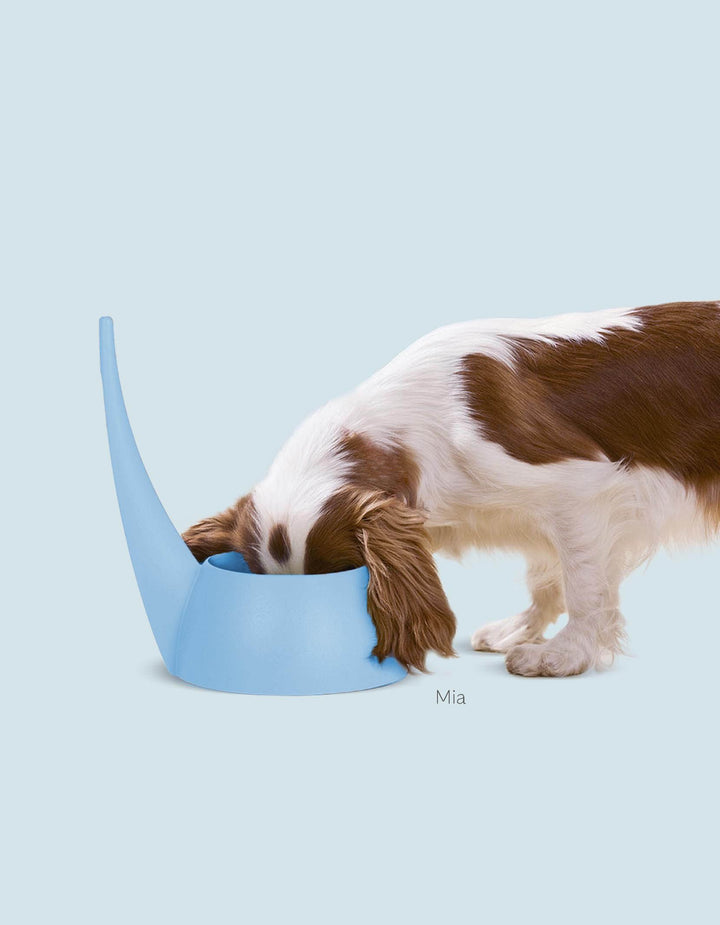Tail Bowl Dog with Tail Handle for Easy Holding | United Pets Milano