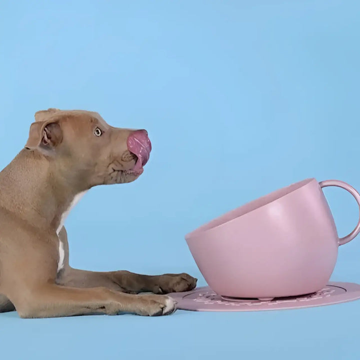 Set Cup Bowl & Mat Stylish EcoFriendly Pet Dining | United Pets Milano