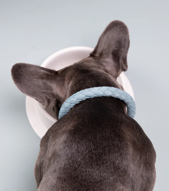 Ferdinando Dog Collar in Microfiber | 2.8 Duepuntootto Design for Dogs