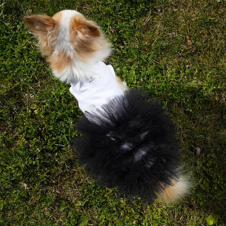 Miss Vanity Stylish Dress For Female Dog | Vanity Pet