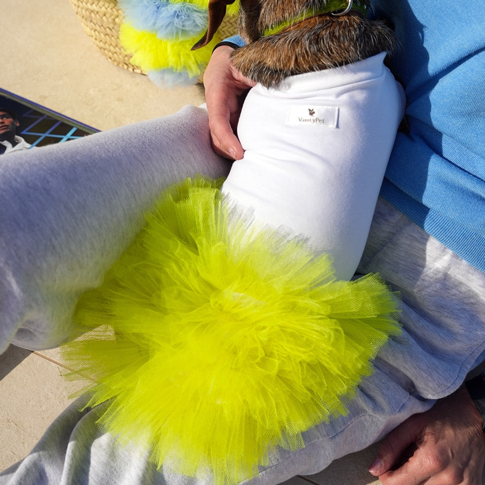 Miss Vanity Stylish Dress For Female Dog | Vanity Pet