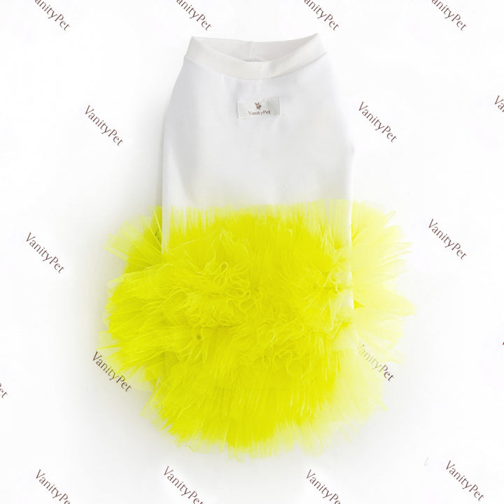 Miss Vanity Stylish Dress For Female Dog | Vanity Pet