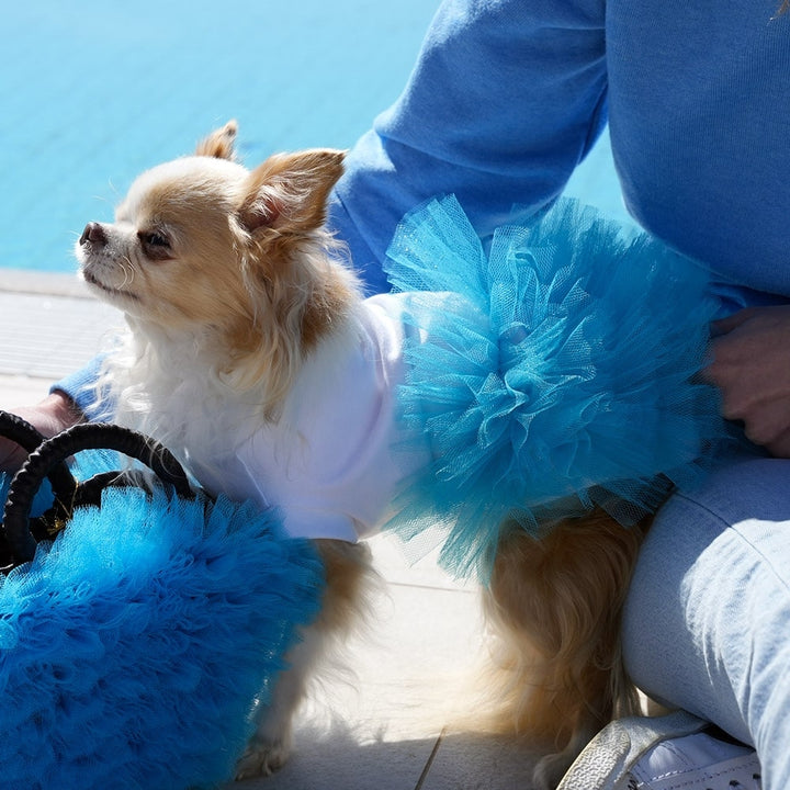 Miss Vanity Stylish Dress For Female Dog | Vanity Pet