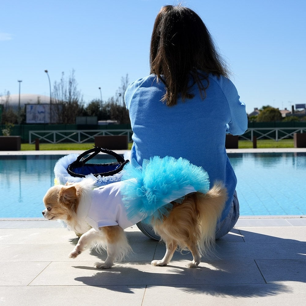 Miss Vanity Stylish Dress For Female Dog | Vanity Pet