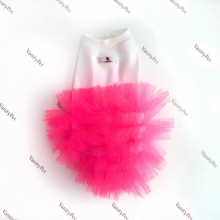 Miss Vanity Stylish Dress For Female Dog | Vanity Pet